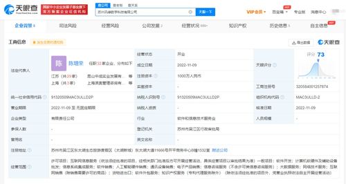 信息系統集成服務 連接、優化與賦能